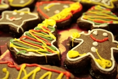 MG_4508-Icing-on-a-gingerbread-man