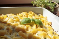 MG_5700-Macaroni-and-cheese-with-herbs-2