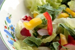 Low-FODMAP-colourful-salad