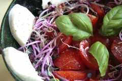 Tomato-radish-sprouts-and-mozarella-salad-1024x681