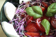 Tomato-radish-sprouts-and-mozarella-salad-1024x681