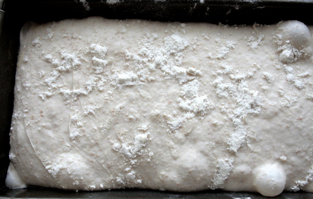 Chleb orkiszowy na zakwasie przed pieczeniem