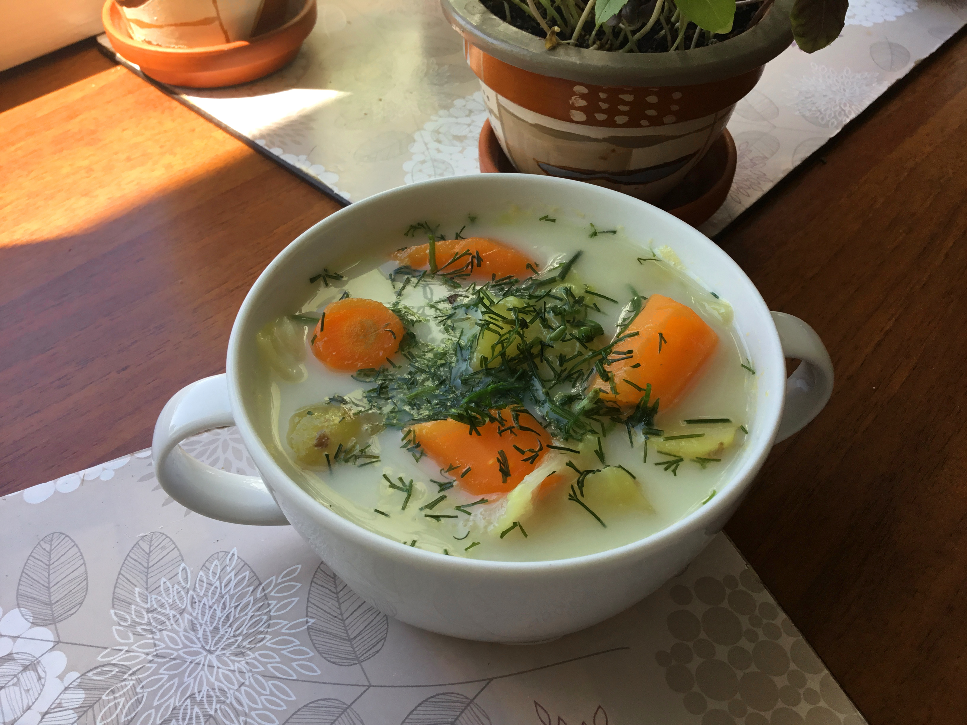 Zupa z Młodych Warzyw (Low FODMAP)