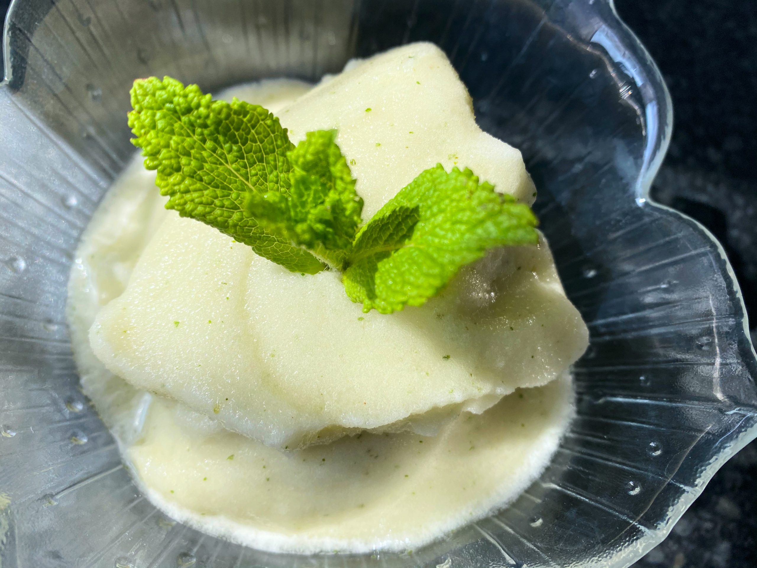 Low FODMAP Sorbet Melonowy z Miętą